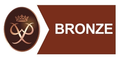 Duke of Edinburgh Bronze Bronze badge